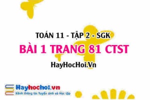 Bài 1 trang 81 Toán 11 tập 2 Chân trời sáng tạo